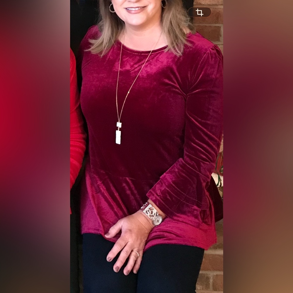Elegant Velvet Flared Sleeve Blouse